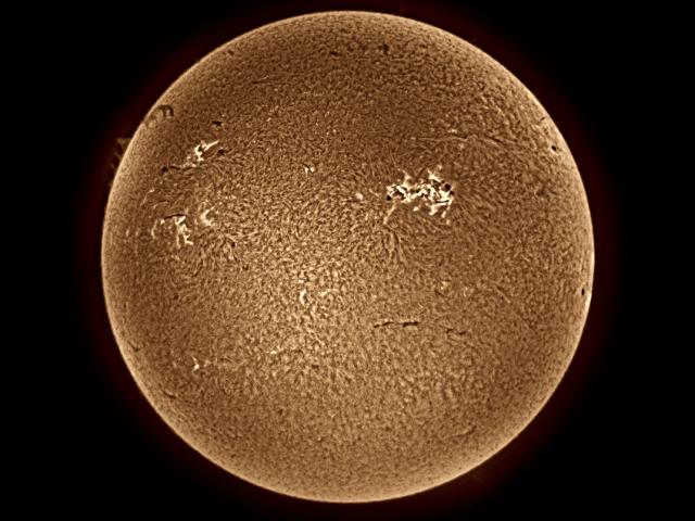 Brown Sun Bubbling