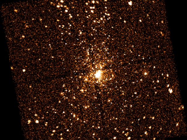 X-Ray Stars Of Orion