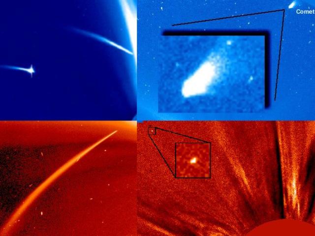 The Comets Of SOHO
