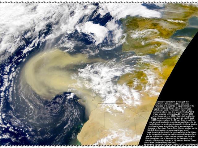 Dust Storm on Planet Earth