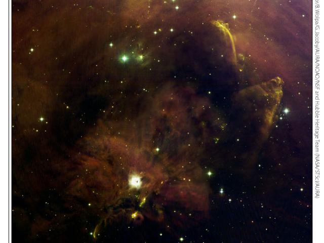 A Panorama of Oddities in Orion A