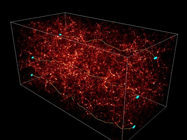 Weak Lensing Distorts the Universe