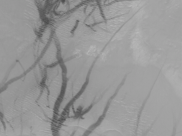 Martian Dust Devil Trails