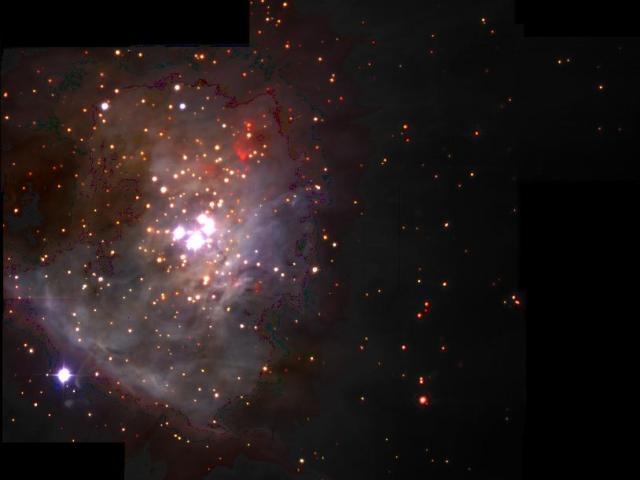 Free Floating Planets In Orion