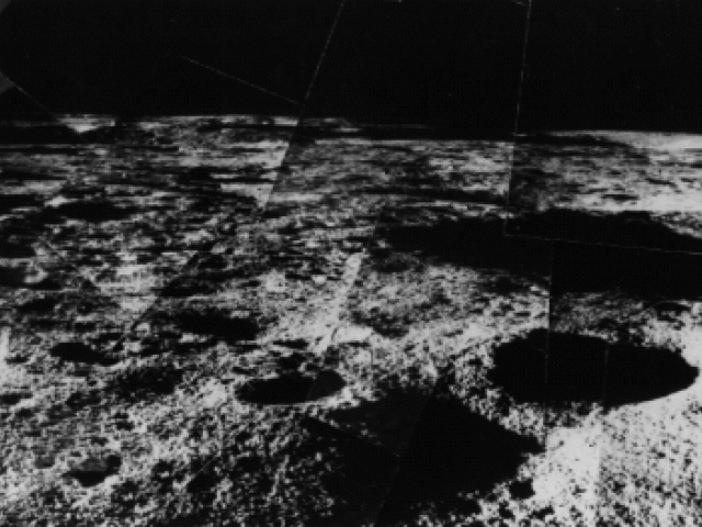 Surveyor Hops