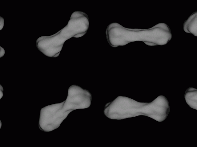 Dog-Bone Shaped Asteroid 216 Kleopatra
