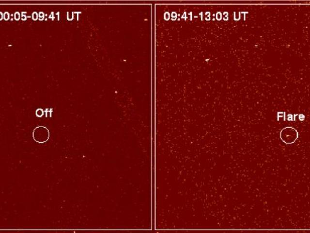 LP 944-20: A Failed Star Flares
