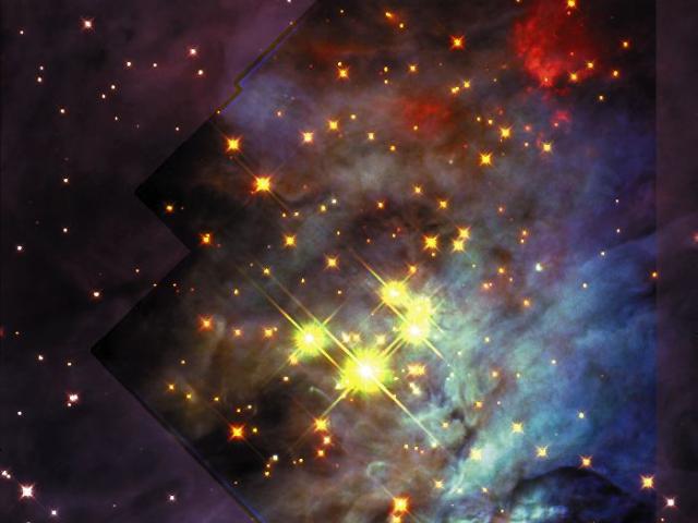The Brown Dwarfs of Orions Trapezium