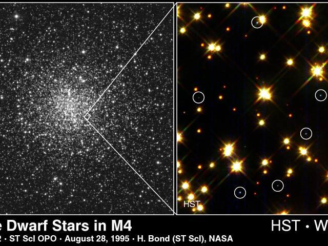 White Dwarf Stars Cool
