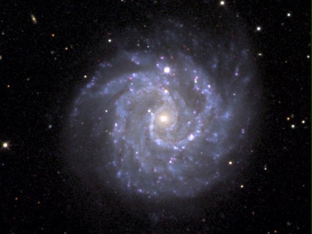 Gangly Spiral Galaxy NGC 3184