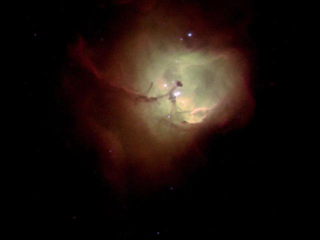 N81: Star Cradle in the SMC