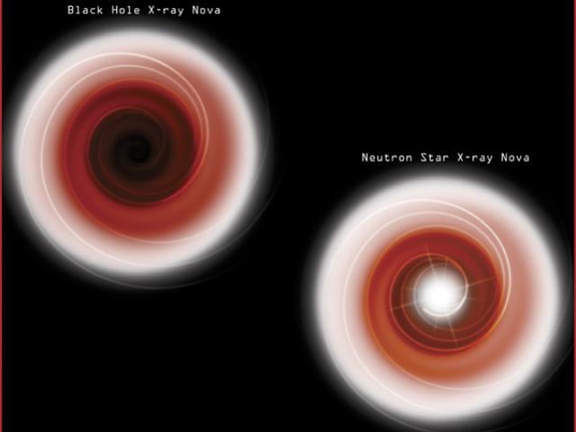 Black Holes Are Black