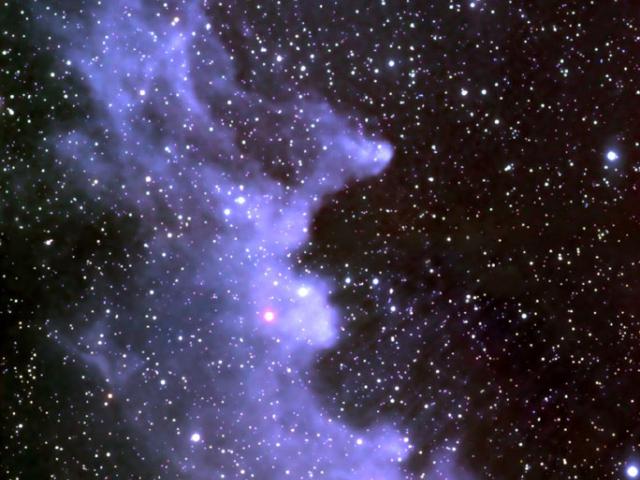 The Witch Head Nebula