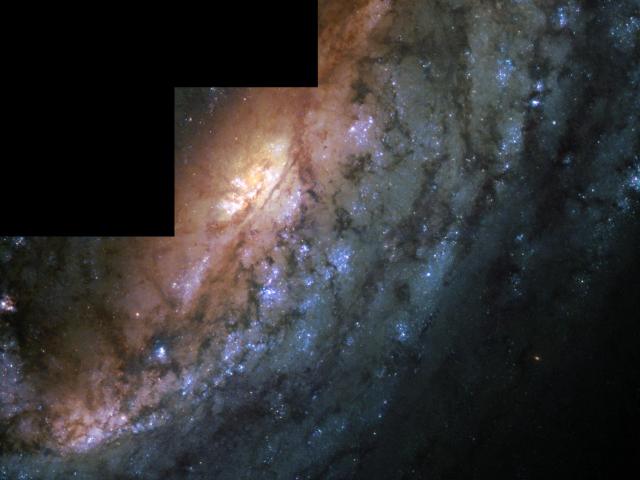 Barred Spiral Galaxy NGC 2903