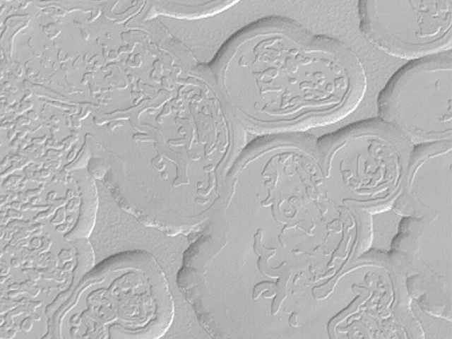 Swiss Cheese Like Landscape on Mars