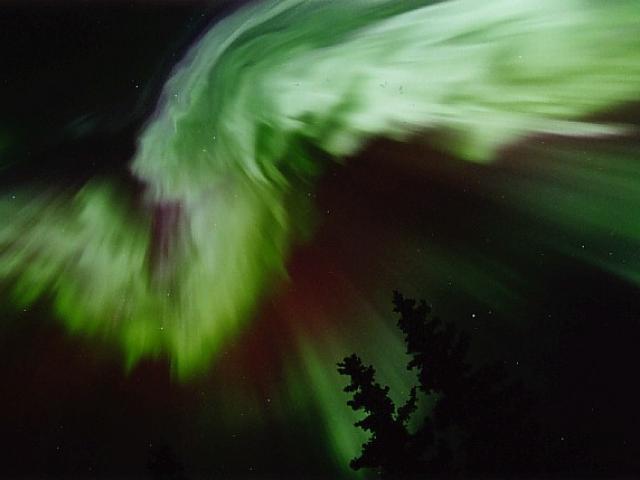 Aurora Alaskan Style