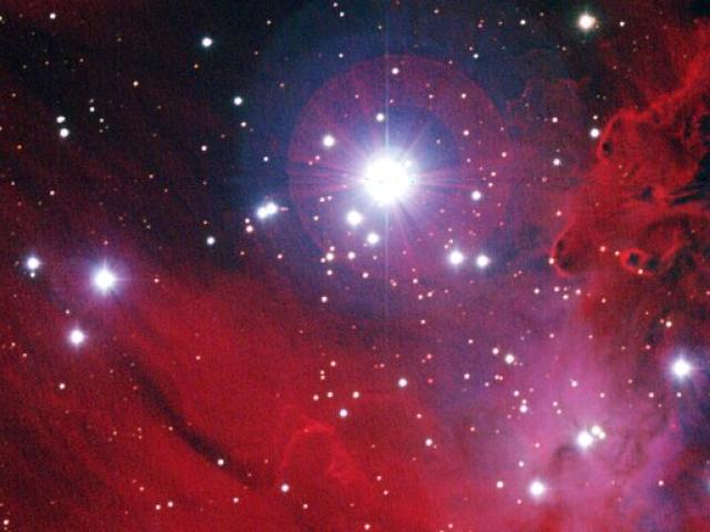 NGC 2264: Stars, Dust, and Gas