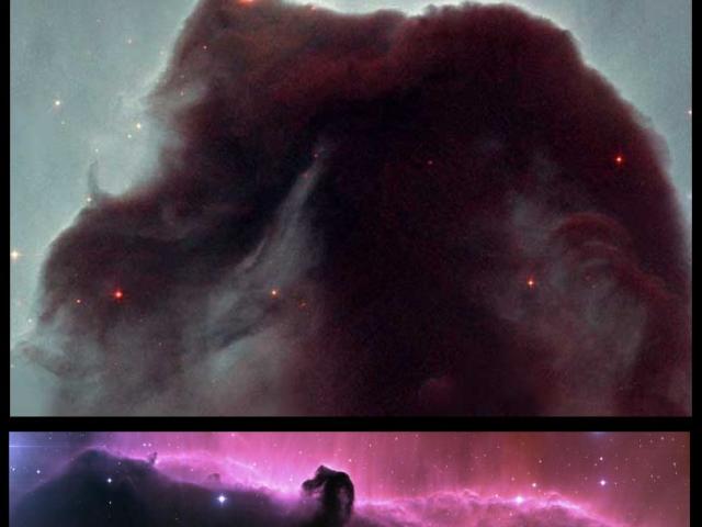 Horsehead Rides Again