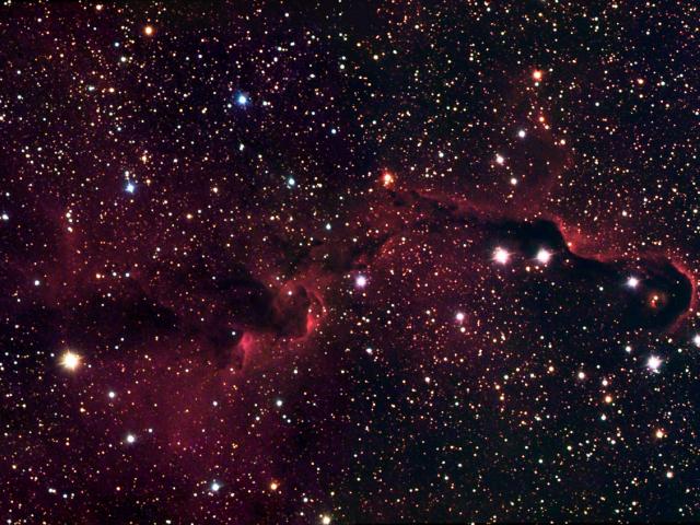 The Elephant’s Trunk in IC 1396