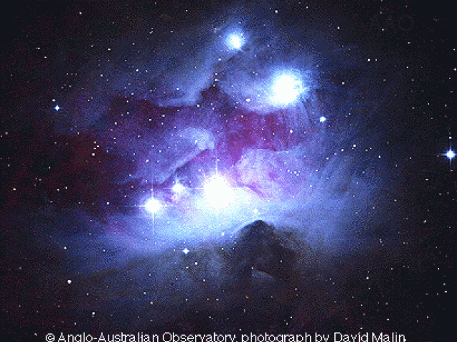 NGC 1977: Blue Reflection Nebula in Orion
