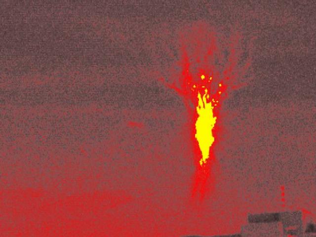 Burning Tree Sprite