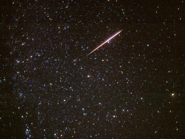 Perseids of Summer