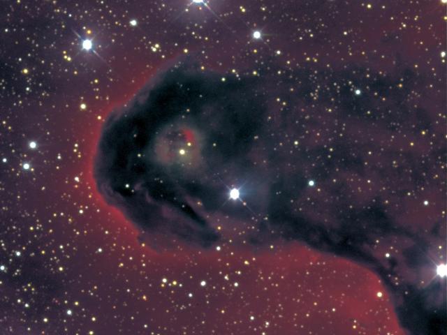 VDB 142 in Cepheus