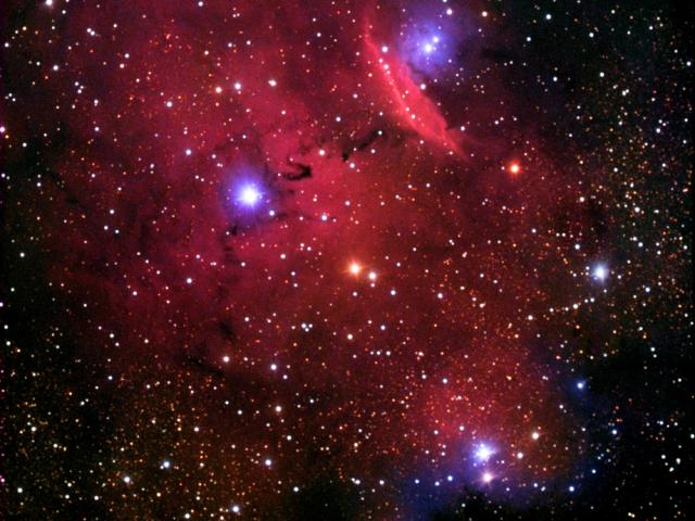 Emission and Reflection in NGC 6559