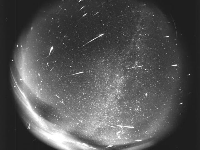 Leonids from Leo