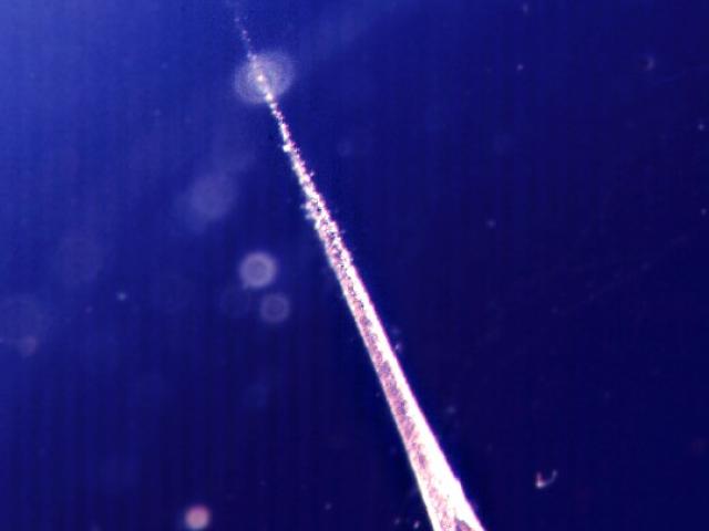 Catching Falling Stardust