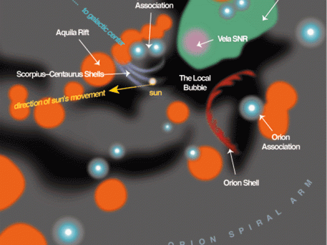 The Local Bubble and the Galactic Neighborhood
