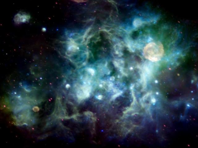 A Radio Vista of Cygnus