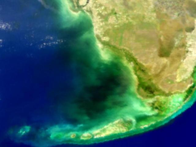 Mysterious Black Water in Florida Bay