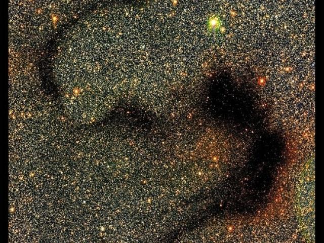 The Snake Nebula from CFHT
