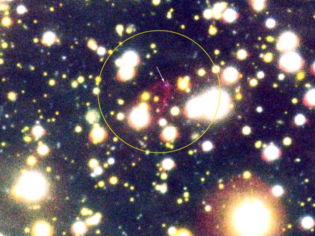 RX J185635-375: Candidate Quark Star