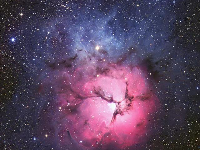 The Trifid Nebula from AAO