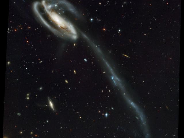 Arp 188 and the Tadpole’s Tidal Tail