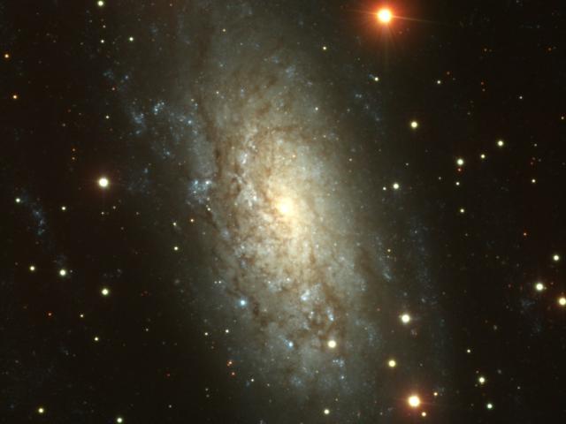 NGC 3621: Far Beyond the Local Group