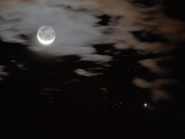 Jupiter, Moons, and Bees