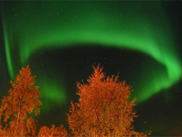 Aurora’s Ring
