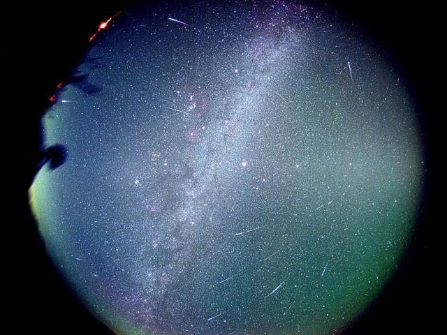 Leonids from Leo
