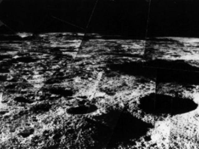 Surveyor Hops