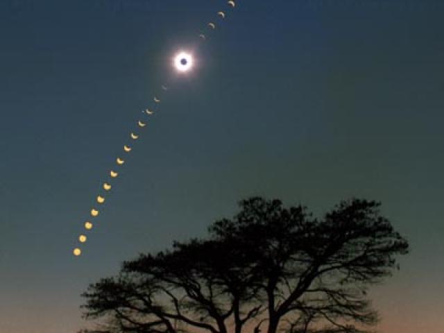 Eclipse Over Acacia