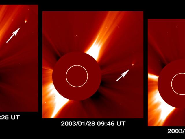 Comet Kudo-Fujikawa: Days in the Sun