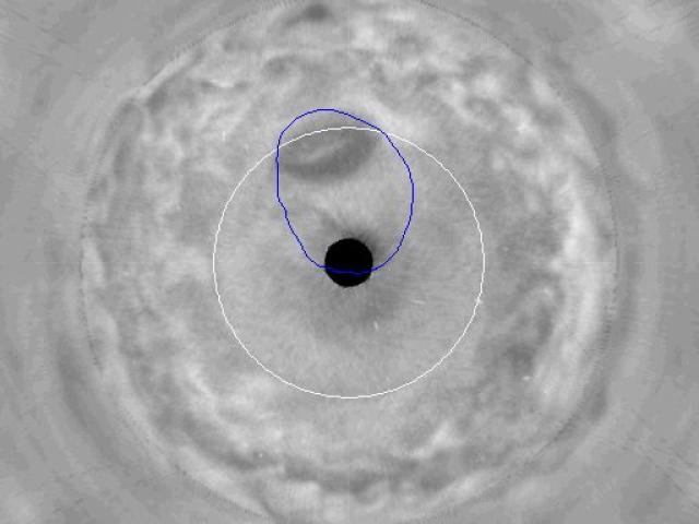 Jupiter’s Great Dark Spot