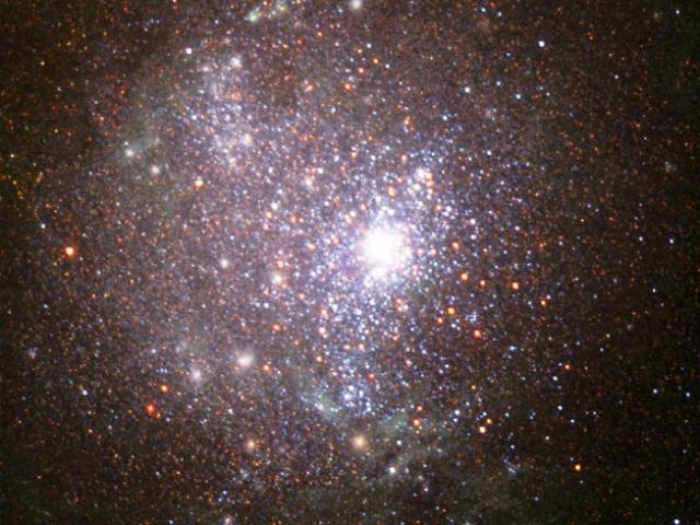 The Stars of NGC 1705