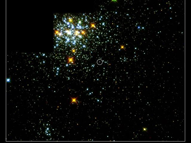 NGC 1818: Pick A Star