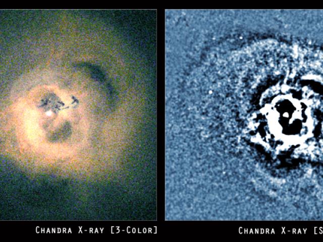 A Note on the Perseus Cluster