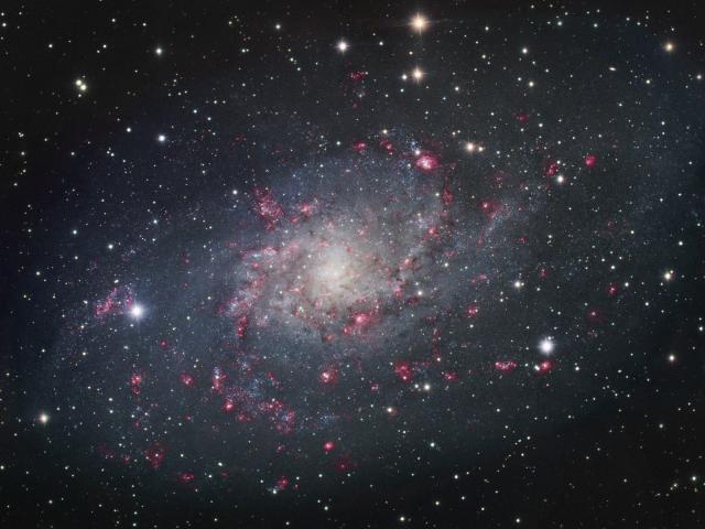 M33: Spiral Galaxy in Triangulum