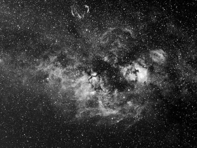 Cygnus Nebulosities